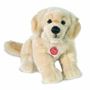 Chien Golden Retriever blond assis 30 cm