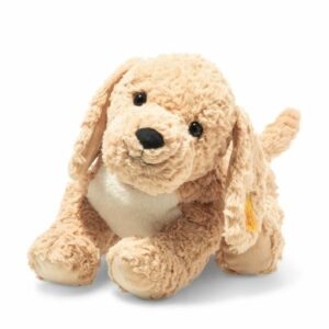 Chien Berno Goldendoodle beige SCF 36cm