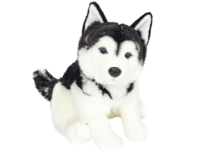 Chien Husky blanc/gris foncé assis 30cm