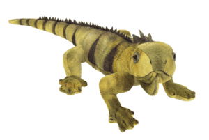 Iguane nuances de vert 49cm