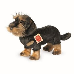 Chien Teckel poil dur debout 28 cm