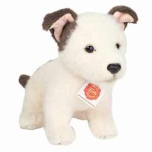 Chien Jack Russel (chiot) debout 25cm