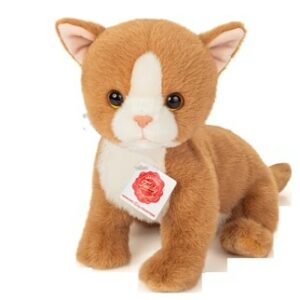 Chat chaton roux assis 24cm
