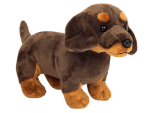 Chien Teckel brun/beige 21cm
