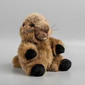 Marmotte Têtabizous H17xL12xl12cm