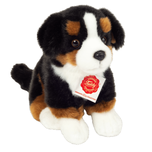 Chien Bouvier Bernois assis 21cm
