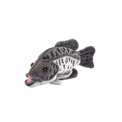 Poisson Carpe H8xL20xl6cm
