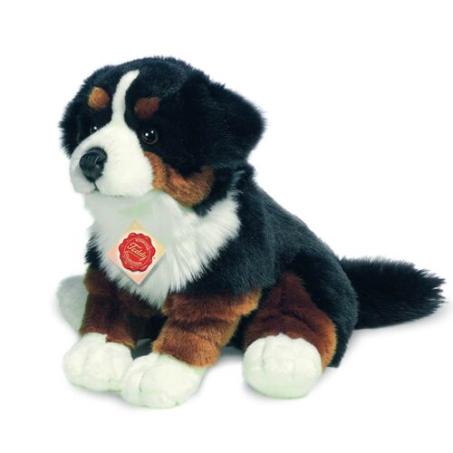 Chien Bouvier Bernois assis 29 cm