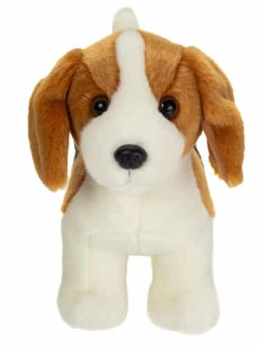 Chien Beagle debout 25cm