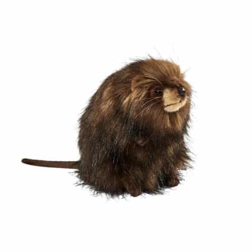 Rat musqué H15cm