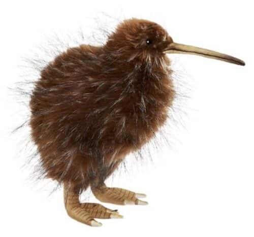 Oiseau Kiwi debout H20cm
