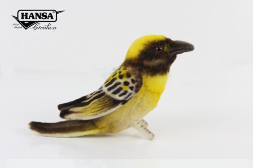 Oiseau Passereau Tisserin Baya mâle H13cm