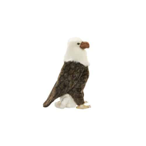 Aigle tête blanche 26cm
