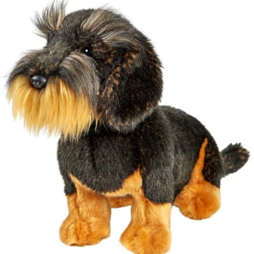 Chien Teckel à poil dur assis 30cm