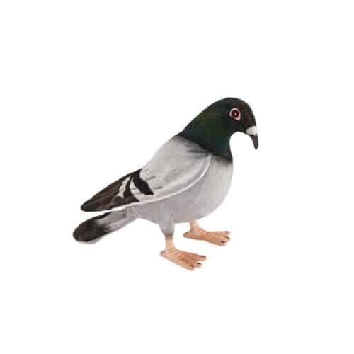 Oiseau Pigeon voyageur 20cm