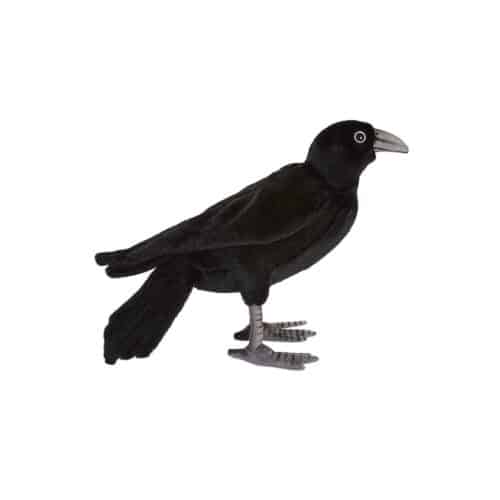 Oiseau Corbeau noir 18cm