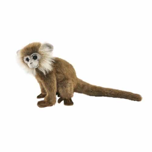 Singe Ouistiti brun 18cm