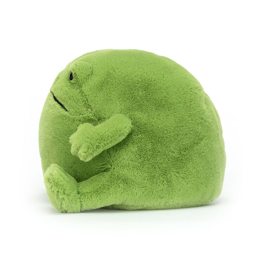 Grenouille Ricky Rain Frog 15x16x18cm – Image 2