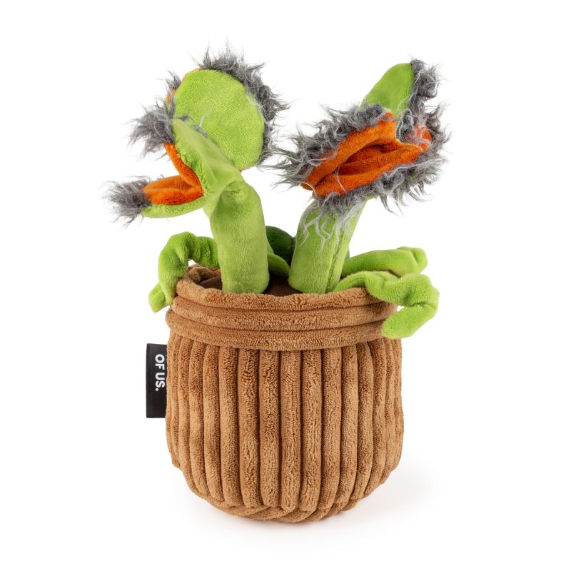 Plante carnivore Audrey O'More Beasts 26cm – Image 4
