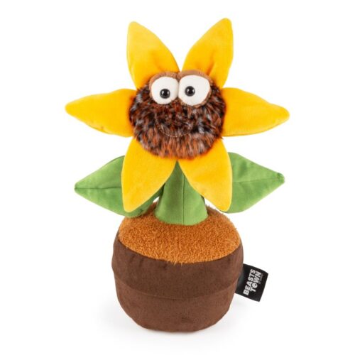 Plante Tournesol Miss Sunshine Beats 38cm