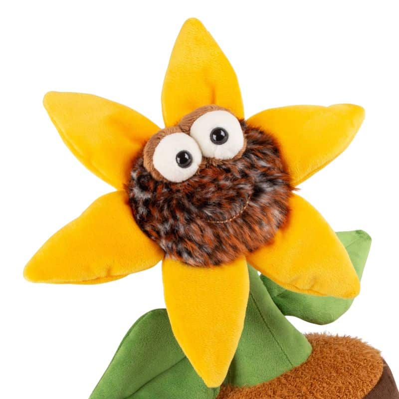 Plante Tournesol Miss Sunshine Beats 38cm – Image 2