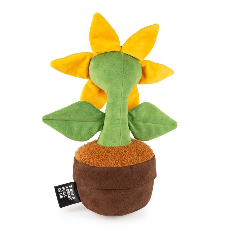 Plante Tournesol Miss Sunshine Beats 38cm – Image 3
