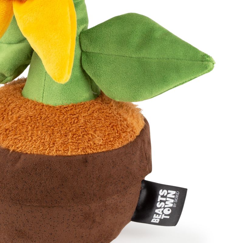 Plante Tournesol Miss Sunshine Beats 38cm – Image 4