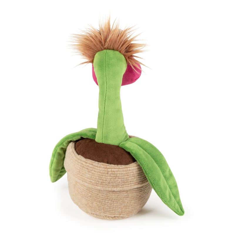 Plante Orchidée Office Orchid Beasts 32cm – Image 4