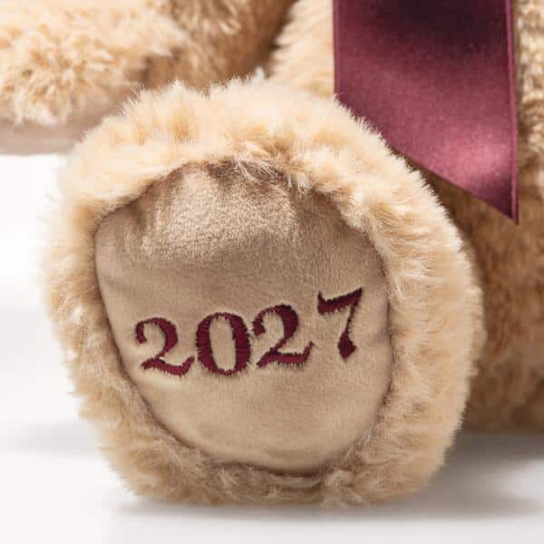 Ours Teddy de l'année Cosy 2027 beige 33cm – Image 4