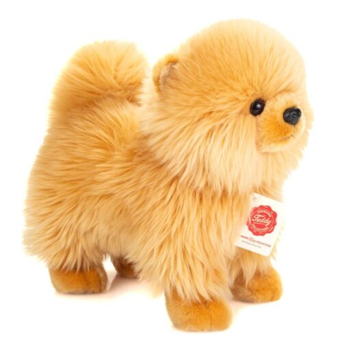 Chien Loulou de Poméranie doré (spitz) 23cm