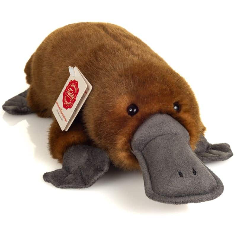 Ornithorynque 35cm