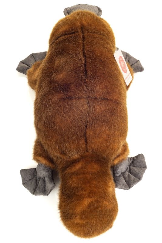 Ornithorynque 35cm – Image 3