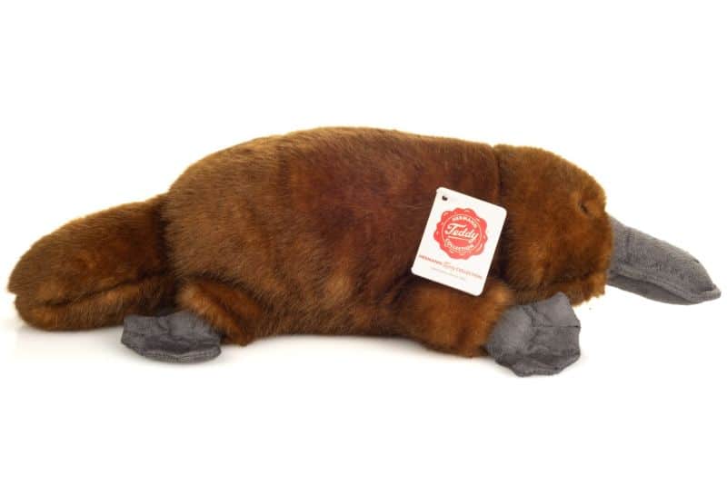 Ornithorynque 35cm – Image 4