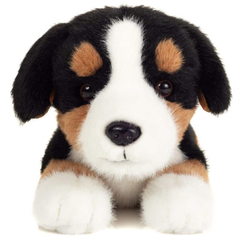 Chien Bouvier Bernois allongé 32cm